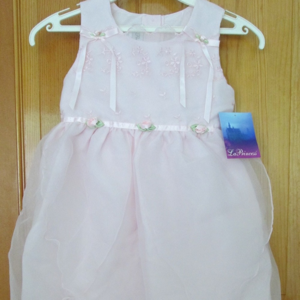 Pink Flower Girl/ Pageant/ Special Occasion Dress